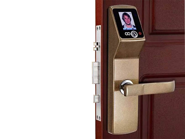 1556605227678299.jpg 1556605227678299.jpg